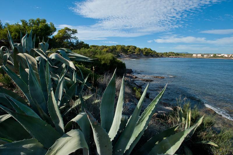 Casitas De Pescadores El Estanyol Zewnętrze zdjęcie